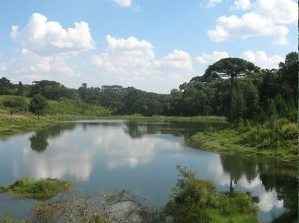 Lote nº 8, Colónia Rivière — vista actual
